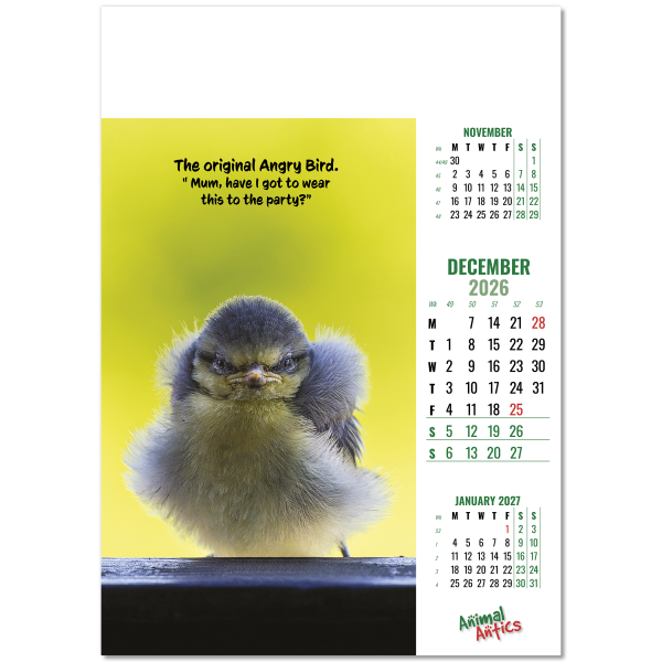 Animal Antics Wall Calendar