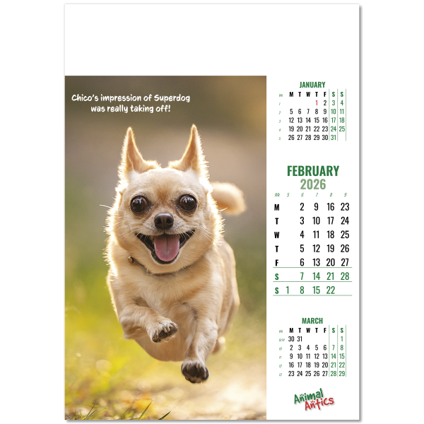 Animal Antics Wall Calendar