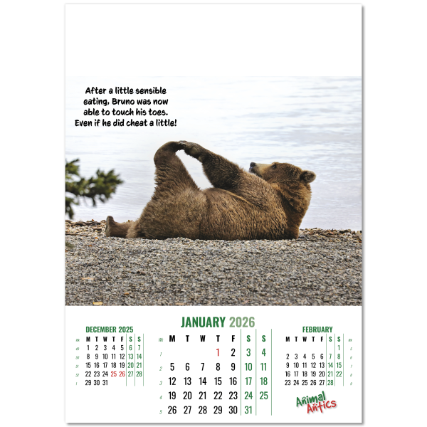 Animal Antics Wall Calendar