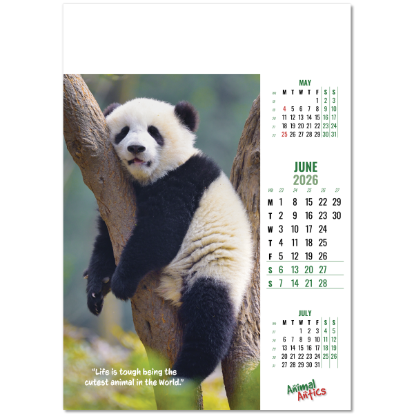 Animal Antics Wall Calendar