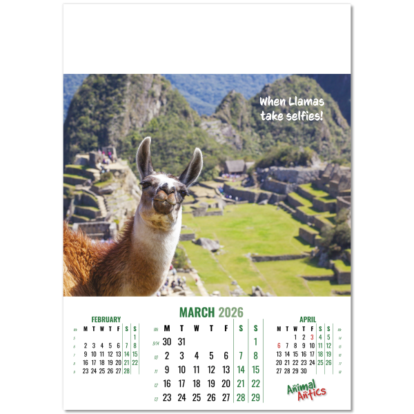 Animal Antics Wall Calendar