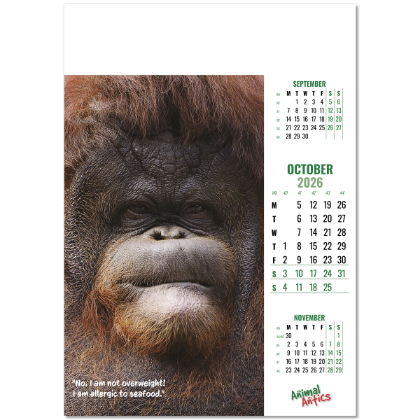 Animal Antics Wall Calendar