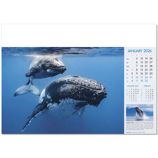 Blue Planet Wall Calendar