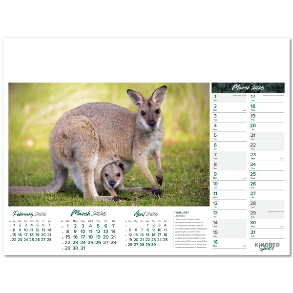 Kindred Spirits Wall Calendar