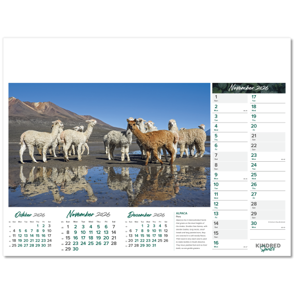 Kindred Spirits Wall Calendar