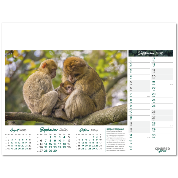 Kindred Spirits Wall Calendar