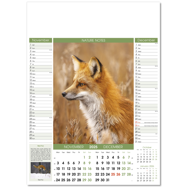 Nature Notes Wall Calendar