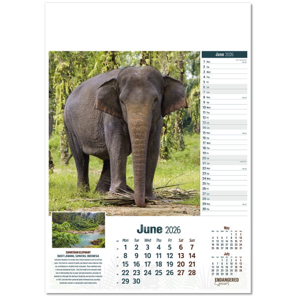 Endangered Species Wall Calendar