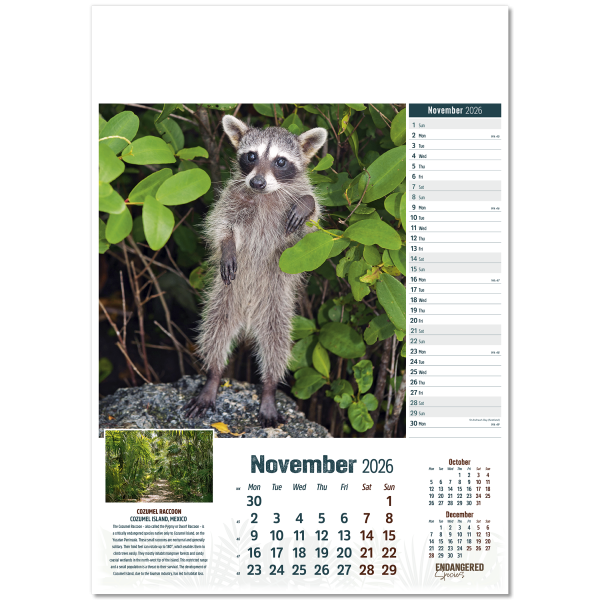 Endangered Species Wall Calendar