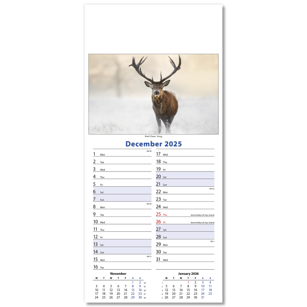 Wildlife Slim Wall Calendar