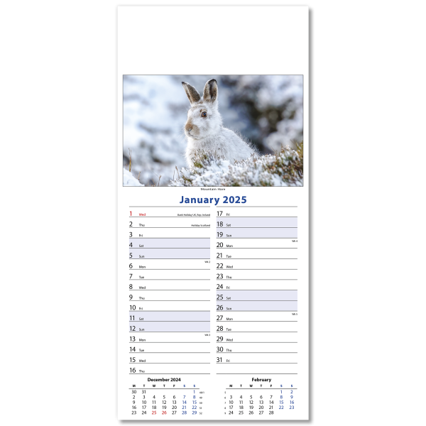 Wildlife Slim Wall Calendar