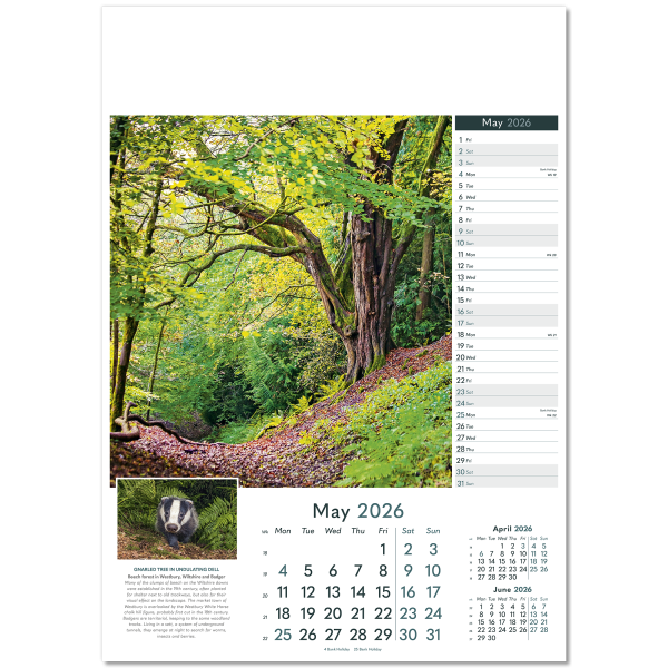 Wonders of Nature Wall Calendar