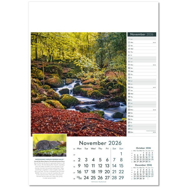 Wonders of Nature Wall Calendar