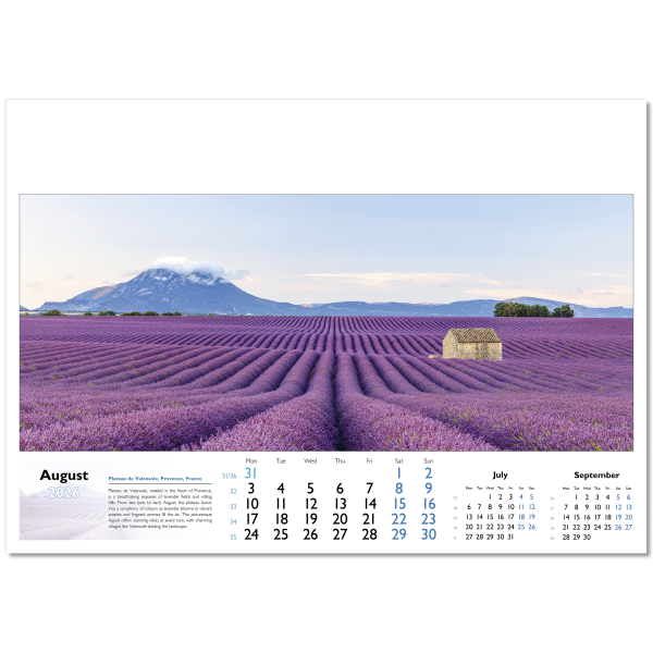 World in View Wall Calendar