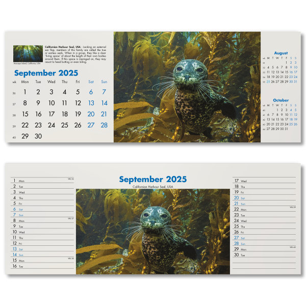 Blue Planet Desk Calendar