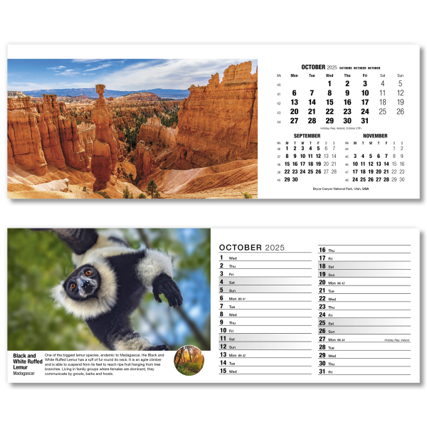 Our World in Trust Desk Calendar