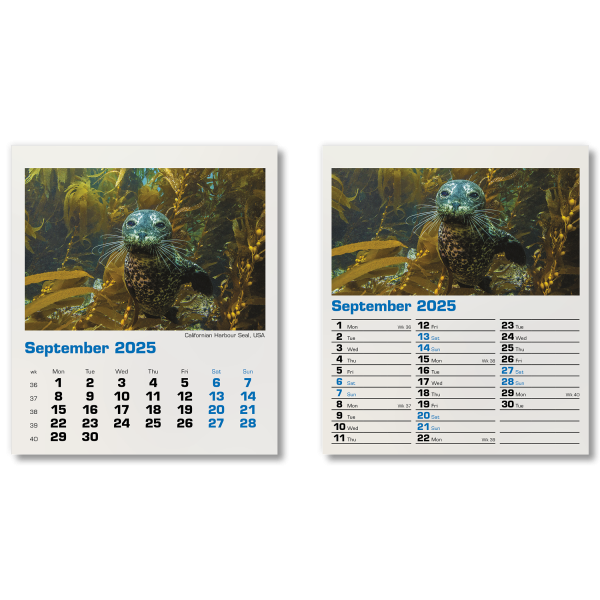 Blue Planet Mini Desk Calendar