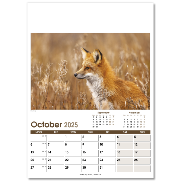 Rural Life Wall Calendar - 13 Leaf